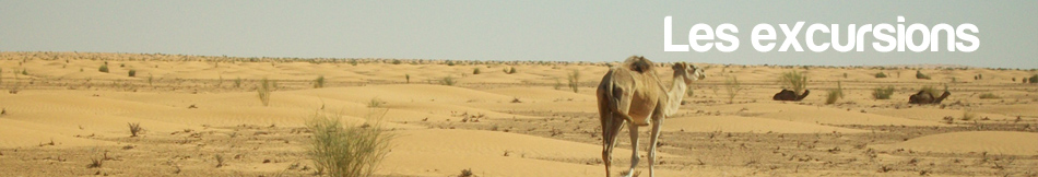 excursions randonnées désert tunisie